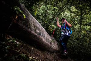 BIB: 
                            <button type="button" onclick="openModal(13525180)" class="btn btn-primary btn-sm float-right btn-popup" data-toggle="modal" data-target=".modal-high-quality">
                        <i class="fas fa-shopping-cart"></i> Add to Cart
                    </button>
                                            <button type="button" onclick="isThisMe(13525180, true)" class="btn btn-success btn-sm float-right btn-popup btn-isme hidden" data-toggle="tooltip" data-placement="bottom" title="นี่คือรูปของคุณใช่ไหม คลิกที่นี่เพื่อเอาเข้าอัลบั้ม">
                        <i class="fas fa-plus"></i> Add to album
                    </button>
                    <button type="button" onclick="isThisMe(13525180, false)" class="btn btn-warning btn-sm float-right btn-popup btn-isnotme hidden">
                        <i class="fas fa-ban"></i> Remove from album
                    </button>