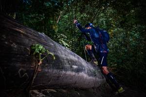 BIB: 
                            <button type="button" onclick="openModal(13519248)" class="btn btn-primary btn-sm float-right btn-popup" data-toggle="modal" data-target=".modal-high-quality">
                        <i class="fas fa-shopping-cart"></i> Add to Cart
                    </button>
                                            <button type="button" onclick="isThisMe(13519248, true)" class="btn btn-success btn-sm float-right btn-popup btn-isme hidden" data-toggle="tooltip" data-placement="bottom" title="นี่คือรูปของคุณใช่ไหม คลิกที่นี่เพื่อเอาเข้าอัลบั้ม">
                        <i class="fas fa-plus"></i> Add to album
                    </button>
                    <button type="button" onclick="isThisMe(13519248, false)" class="btn btn-warning btn-sm float-right btn-popup btn-isnotme hidden">
                        <i class="fas fa-ban"></i> Remove from album
                    </button>