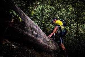 BIB: 
                            <button type="button" onclick="openModal(13525485)" class="btn btn-primary btn-sm float-right btn-popup" data-toggle="modal" data-target=".modal-high-quality">
                        <i class="fas fa-shopping-cart"></i> Add to Cart
                    </button>
                                            <button type="button" onclick="isThisMe(13525485, true)" class="btn btn-success btn-sm float-right btn-popup btn-isme hidden" data-toggle="tooltip" data-placement="bottom" title="นี่คือรูปของคุณใช่ไหม คลิกที่นี่เพื่อเอาเข้าอัลบั้ม">
                        <i class="fas fa-plus"></i> Add to album
                    </button>
                    <button type="button" onclick="isThisMe(13525485, false)" class="btn btn-warning btn-sm float-right btn-popup btn-isnotme hidden">
                        <i class="fas fa-ban"></i> Remove from album
                    </button>