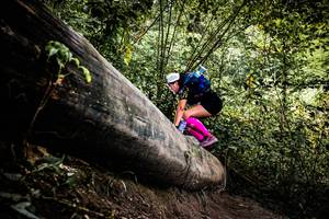 BIB: 
                            <button type="button" onclick="openModal(13525868)" class="btn btn-primary btn-sm float-right btn-popup" data-toggle="modal" data-target=".modal-high-quality">
                        <i class="fas fa-shopping-cart"></i> Add to Cart
                    </button>
                                            <button type="button" onclick="isThisMe(13525868, true)" class="btn btn-success btn-sm float-right btn-popup btn-isme hidden" data-toggle="tooltip" data-placement="bottom" title="นี่คือรูปของคุณใช่ไหม คลิกที่นี่เพื่อเอาเข้าอัลบั้ม">
                        <i class="fas fa-plus"></i> Add to album
                    </button>
                    <button type="button" onclick="isThisMe(13525868, false)" class="btn btn-warning btn-sm float-right btn-popup btn-isnotme hidden">
                        <i class="fas fa-ban"></i> Remove from album
                    </button>