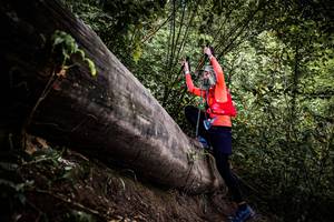 BIB: 
                            <button type="button" onclick="openModal(13523733)" class="btn btn-primary btn-sm float-right btn-popup" data-toggle="modal" data-target=".modal-high-quality">
                        <i class="fas fa-shopping-cart"></i> Add to Cart
                    </button>
                                            <button type="button" onclick="isThisMe(13523733, true)" class="btn btn-success btn-sm float-right btn-popup btn-isme hidden" data-toggle="tooltip" data-placement="bottom" title="นี่คือรูปของคุณใช่ไหม คลิกที่นี่เพื่อเอาเข้าอัลบั้ม">
                        <i class="fas fa-plus"></i> Add to album
                    </button>
                    <button type="button" onclick="isThisMe(13523733, false)" class="btn btn-warning btn-sm float-right btn-popup btn-isnotme hidden">
                        <i class="fas fa-ban"></i> Remove from album
                    </button>