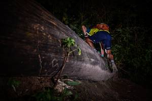 BIB: 
                            <button type="button" onclick="openModal(13517811)" class="btn btn-primary btn-sm float-right btn-popup" data-toggle="modal" data-target=".modal-high-quality">
                        <i class="fas fa-shopping-cart"></i> Add to Cart
                    </button>
                                            <button type="button" onclick="isThisMe(13517811, true)" class="btn btn-success btn-sm float-right btn-popup btn-isme hidden" data-toggle="tooltip" data-placement="bottom" title="นี่คือรูปของคุณใช่ไหม คลิกที่นี่เพื่อเอาเข้าอัลบั้ม">
                        <i class="fas fa-plus"></i> Add to album
                    </button>
                    <button type="button" onclick="isThisMe(13517811, false)" class="btn btn-warning btn-sm float-right btn-popup btn-isnotme hidden">
                        <i class="fas fa-ban"></i> Remove from album
                    </button>