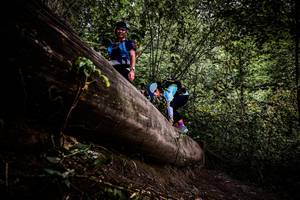 BIB: 
                            <button type="button" onclick="openModal(13525373)" class="btn btn-primary btn-sm float-right btn-popup" data-toggle="modal" data-target=".modal-high-quality">
                        <i class="fas fa-shopping-cart"></i> Add to Cart
                    </button>
                                            <button type="button" onclick="isThisMe(13525373, true)" class="btn btn-success btn-sm float-right btn-popup btn-isme hidden" data-toggle="tooltip" data-placement="bottom" title="นี่คือรูปของคุณใช่ไหม คลิกที่นี่เพื่อเอาเข้าอัลบั้ม">
                        <i class="fas fa-plus"></i> Add to album
                    </button>
                    <button type="button" onclick="isThisMe(13525373, false)" class="btn btn-warning btn-sm float-right btn-popup btn-isnotme hidden">
                        <i class="fas fa-ban"></i> Remove from album
                    </button>