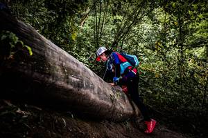 BIB: 
                            <button type="button" onclick="openModal(13525687)" class="btn btn-primary btn-sm float-right btn-popup" data-toggle="modal" data-target=".modal-high-quality">
                        <i class="fas fa-shopping-cart"></i> Add to Cart
                    </button>
                                            <button type="button" onclick="isThisMe(13525687, true)" class="btn btn-success btn-sm float-right btn-popup btn-isme hidden" data-toggle="tooltip" data-placement="bottom" title="นี่คือรูปของคุณใช่ไหม คลิกที่นี่เพื่อเอาเข้าอัลบั้ม">
                        <i class="fas fa-plus"></i> Add to album
                    </button>
                    <button type="button" onclick="isThisMe(13525687, false)" class="btn btn-warning btn-sm float-right btn-popup btn-isnotme hidden">
                        <i class="fas fa-ban"></i> Remove from album
                    </button>