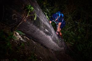 BIB: 
                            <button type="button" onclick="openModal(13518891)" class="btn btn-primary btn-sm float-right btn-popup" data-toggle="modal" data-target=".modal-high-quality">
                        <i class="fas fa-shopping-cart"></i> Add to Cart
                    </button>
                                            <button type="button" onclick="isThisMe(13518891, true)" class="btn btn-success btn-sm float-right btn-popup btn-isme hidden" data-toggle="tooltip" data-placement="bottom" title="นี่คือรูปของคุณใช่ไหม คลิกที่นี่เพื่อเอาเข้าอัลบั้ม">
                        <i class="fas fa-plus"></i> Add to album
                    </button>
                    <button type="button" onclick="isThisMe(13518891, false)" class="btn btn-warning btn-sm float-right btn-popup btn-isnotme hidden">
                        <i class="fas fa-ban"></i> Remove from album
                    </button>