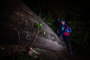 BIB: 
                            <button type="button" onclick="openModal(13517780)" class="btn btn-primary btn-sm float-right btn-popup" data-toggle="modal" data-target=".modal-high-quality">
                        <i class="fas fa-shopping-cart"></i> Add to Cart
                    </button>
                                            <button type="button" onclick="isThisMe(13517780, true)" class="btn btn-success btn-sm float-right btn-popup btn-isme hidden" data-toggle="tooltip" data-placement="bottom" title="นี่คือรูปของคุณใช่ไหม คลิกที่นี่เพื่อเอาเข้าอัลบั้ม">
                        <i class="fas fa-plus"></i> Add to album
                    </button>
                    <button type="button" onclick="isThisMe(13517780, false)" class="btn btn-warning btn-sm float-right btn-popup btn-isnotme hidden">
                        <i class="fas fa-ban"></i> Remove from album
                    </button>