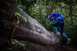 BIB: 
                            <button type="button" onclick="openModal(13519837)" class="btn btn-primary btn-sm float-right btn-popup" data-toggle="modal" data-target=".modal-high-quality">
                        <i class="fas fa-shopping-cart"></i> Add to Cart
                    </button>
                                            <button type="button" onclick="isThisMe(13519837, true)" class="btn btn-success btn-sm float-right btn-popup btn-isme hidden" data-toggle="tooltip" data-placement="bottom" title="นี่คือรูปของคุณใช่ไหม คลิกที่นี่เพื่อเอาเข้าอัลบั้ม">
                        <i class="fas fa-plus"></i> Add to album
                    </button>
                    <button type="button" onclick="isThisMe(13519837, false)" class="btn btn-warning btn-sm float-right btn-popup btn-isnotme hidden">
                        <i class="fas fa-ban"></i> Remove from album
                    </button>