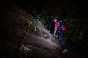 BIB: 
                            <button type="button" onclick="openModal(13518019)" class="btn btn-primary btn-sm float-right btn-popup" data-toggle="modal" data-target=".modal-high-quality">
                        <i class="fas fa-shopping-cart"></i> Add to Cart
                    </button>
                                            <button type="button" onclick="isThisMe(13518019, true)" class="btn btn-success btn-sm float-right btn-popup btn-isme hidden" data-toggle="tooltip" data-placement="bottom" title="นี่คือรูปของคุณใช่ไหม คลิกที่นี่เพื่อเอาเข้าอัลบั้ม">
                        <i class="fas fa-plus"></i> Add to album
                    </button>
                    <button type="button" onclick="isThisMe(13518019, false)" class="btn btn-warning btn-sm float-right btn-popup btn-isnotme hidden">
                        <i class="fas fa-ban"></i> Remove from album
                    </button>