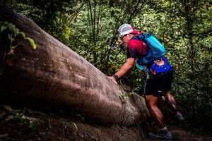 BIB: 
                            <button type="button" onclick="openModal(13523792)" class="btn btn-primary btn-sm float-right btn-popup" data-toggle="modal" data-target=".modal-high-quality">
                        <i class="fas fa-shopping-cart"></i> Add to Cart
                    </button>
                                            <button type="button" onclick="isThisMe(13523792, true)" class="btn btn-success btn-sm float-right btn-popup btn-isme hidden" data-toggle="tooltip" data-placement="bottom" title="นี่คือรูปของคุณใช่ไหม คลิกที่นี่เพื่อเอาเข้าอัลบั้ม">
                        <i class="fas fa-plus"></i> Add to album
                    </button>
                    <button type="button" onclick="isThisMe(13523792, false)" class="btn btn-warning btn-sm float-right btn-popup btn-isnotme hidden">
                        <i class="fas fa-ban"></i> Remove from album
                    </button>