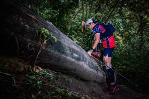 BIB: 
                            <button type="button" onclick="openModal(13519596)" class="btn btn-primary btn-sm float-right btn-popup" data-toggle="modal" data-target=".modal-high-quality">
                        <i class="fas fa-shopping-cart"></i> Add to Cart
                    </button>
                                            <button type="button" onclick="isThisMe(13519596, true)" class="btn btn-success btn-sm float-right btn-popup btn-isme hidden" data-toggle="tooltip" data-placement="bottom" title="นี่คือรูปของคุณใช่ไหม คลิกที่นี่เพื่อเอาเข้าอัลบั้ม">
                        <i class="fas fa-plus"></i> Add to album
                    </button>
                    <button type="button" onclick="isThisMe(13519596, false)" class="btn btn-warning btn-sm float-right btn-popup btn-isnotme hidden">
                        <i class="fas fa-ban"></i> Remove from album
                    </button>