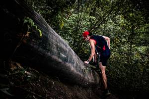 BIB: 
                            <button type="button" onclick="openModal(13525504)" class="btn btn-primary btn-sm float-right btn-popup" data-toggle="modal" data-target=".modal-high-quality">
                        <i class="fas fa-shopping-cart"></i> Add to Cart
                    </button>
                                            <button type="button" onclick="isThisMe(13525504, true)" class="btn btn-success btn-sm float-right btn-popup btn-isme hidden" data-toggle="tooltip" data-placement="bottom" title="นี่คือรูปของคุณใช่ไหม คลิกที่นี่เพื่อเอาเข้าอัลบั้ม">
                        <i class="fas fa-plus"></i> Add to album
                    </button>
                    <button type="button" onclick="isThisMe(13525504, false)" class="btn btn-warning btn-sm float-right btn-popup btn-isnotme hidden">
                        <i class="fas fa-ban"></i> Remove from album
                    </button>