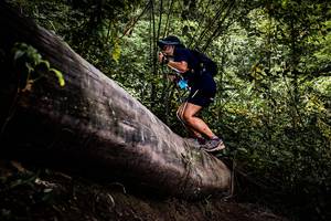 BIB: 
                            <button type="button" onclick="openModal(13525708)" class="btn btn-primary btn-sm float-right btn-popup" data-toggle="modal" data-target=".modal-high-quality">
                        <i class="fas fa-shopping-cart"></i> Add to Cart
                    </button>
                                            <button type="button" onclick="isThisMe(13525708, true)" class="btn btn-success btn-sm float-right btn-popup btn-isme hidden" data-toggle="tooltip" data-placement="bottom" title="นี่คือรูปของคุณใช่ไหม คลิกที่นี่เพื่อเอาเข้าอัลบั้ม">
                        <i class="fas fa-plus"></i> Add to album
                    </button>
                    <button type="button" onclick="isThisMe(13525708, false)" class="btn btn-warning btn-sm float-right btn-popup btn-isnotme hidden">
                        <i class="fas fa-ban"></i> Remove from album
                    </button>