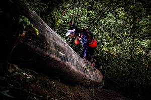 BIB: 
                            <button type="button" onclick="openModal(13525477)" class="btn btn-primary btn-sm float-right btn-popup" data-toggle="modal" data-target=".modal-high-quality">
                        <i class="fas fa-shopping-cart"></i> Add to Cart
                    </button>
                                            <button type="button" onclick="isThisMe(13525477, true)" class="btn btn-success btn-sm float-right btn-popup btn-isme hidden" data-toggle="tooltip" data-placement="bottom" title="นี่คือรูปของคุณใช่ไหม คลิกที่นี่เพื่อเอาเข้าอัลบั้ม">
                        <i class="fas fa-plus"></i> Add to album
                    </button>
                    <button type="button" onclick="isThisMe(13525477, false)" class="btn btn-warning btn-sm float-right btn-popup btn-isnotme hidden">
                        <i class="fas fa-ban"></i> Remove from album
                    </button>