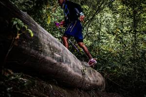 BIB: 
                            <button type="button" onclick="openModal(13523509)" class="btn btn-primary btn-sm float-right btn-popup" data-toggle="modal" data-target=".modal-high-quality">
                        <i class="fas fa-shopping-cart"></i> Add to Cart
                    </button>
                                            <button type="button" onclick="isThisMe(13523509, true)" class="btn btn-success btn-sm float-right btn-popup btn-isme hidden" data-toggle="tooltip" data-placement="bottom" title="นี่คือรูปของคุณใช่ไหม คลิกที่นี่เพื่อเอาเข้าอัลบั้ม">
                        <i class="fas fa-plus"></i> Add to album
                    </button>
                    <button type="button" onclick="isThisMe(13523509, false)" class="btn btn-warning btn-sm float-right btn-popup btn-isnotme hidden">
                        <i class="fas fa-ban"></i> Remove from album
                    </button>