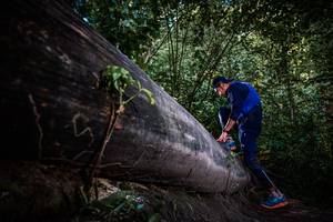 BIB: 
                            <button type="button" onclick="openModal(13519647)" class="btn btn-primary btn-sm float-right btn-popup" data-toggle="modal" data-target=".modal-high-quality">
                        <i class="fas fa-shopping-cart"></i> Add to Cart
                    </button>
                                            <button type="button" onclick="isThisMe(13519647, true)" class="btn btn-success btn-sm float-right btn-popup btn-isme hidden" data-toggle="tooltip" data-placement="bottom" title="นี่คือรูปของคุณใช่ไหม คลิกที่นี่เพื่อเอาเข้าอัลบั้ม">
                        <i class="fas fa-plus"></i> Add to album
                    </button>
                    <button type="button" onclick="isThisMe(13519647, false)" class="btn btn-warning btn-sm float-right btn-popup btn-isnotme hidden">
                        <i class="fas fa-ban"></i> Remove from album
                    </button>