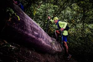 BIB: 
                            <button type="button" onclick="openModal(13525526)" class="btn btn-primary btn-sm float-right btn-popup" data-toggle="modal" data-target=".modal-high-quality">
                        <i class="fas fa-shopping-cart"></i> Add to Cart
                    </button>
                                            <button type="button" onclick="isThisMe(13525526, true)" class="btn btn-success btn-sm float-right btn-popup btn-isme hidden" data-toggle="tooltip" data-placement="bottom" title="นี่คือรูปของคุณใช่ไหม คลิกที่นี่เพื่อเอาเข้าอัลบั้ม">
                        <i class="fas fa-plus"></i> Add to album
                    </button>
                    <button type="button" onclick="isThisMe(13525526, false)" class="btn btn-warning btn-sm float-right btn-popup btn-isnotme hidden">
                        <i class="fas fa-ban"></i> Remove from album
                    </button>