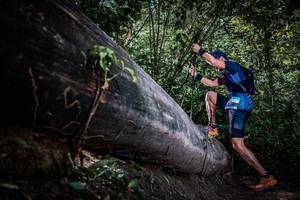 BIB: 
                            <button type="button" onclick="openModal(13519809)" class="btn btn-primary btn-sm float-right btn-popup" data-toggle="modal" data-target=".modal-high-quality">
                        <i class="fas fa-shopping-cart"></i> Add to Cart
                    </button>
                                            <button type="button" onclick="isThisMe(13519809, true)" class="btn btn-success btn-sm float-right btn-popup btn-isme hidden" data-toggle="tooltip" data-placement="bottom" title="นี่คือรูปของคุณใช่ไหม คลิกที่นี่เพื่อเอาเข้าอัลบั้ม">
                        <i class="fas fa-plus"></i> Add to album
                    </button>
                    <button type="button" onclick="isThisMe(13519809, false)" class="btn btn-warning btn-sm float-right btn-popup btn-isnotme hidden">
                        <i class="fas fa-ban"></i> Remove from album
                    </button>