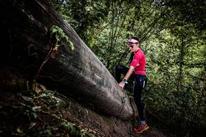 BIB: 
                            <button type="button" onclick="openModal(13523962)" class="btn btn-primary btn-sm float-right btn-popup" data-toggle="modal" data-target=".modal-high-quality">
                        <i class="fas fa-shopping-cart"></i> Add to Cart
                    </button>
                                            <button type="button" onclick="isThisMe(13523962, true)" class="btn btn-success btn-sm float-right btn-popup btn-isme hidden" data-toggle="tooltip" data-placement="bottom" title="นี่คือรูปของคุณใช่ไหม คลิกที่นี่เพื่อเอาเข้าอัลบั้ม">
                        <i class="fas fa-plus"></i> Add to album
                    </button>
                    <button type="button" onclick="isThisMe(13523962, false)" class="btn btn-warning btn-sm float-right btn-popup btn-isnotme hidden">
                        <i class="fas fa-ban"></i> Remove from album
                    </button>