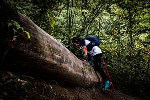 BIB: 
                            <button type="button" onclick="openModal(13525712)" class="btn btn-primary btn-sm float-right btn-popup" data-toggle="modal" data-target=".modal-high-quality">
                        <i class="fas fa-shopping-cart"></i> Add to Cart
                    </button>
                                            <button type="button" onclick="isThisMe(13525712, true)" class="btn btn-success btn-sm float-right btn-popup btn-isme hidden" data-toggle="tooltip" data-placement="bottom" title="นี่คือรูปของคุณใช่ไหม คลิกที่นี่เพื่อเอาเข้าอัลบั้ม">
                        <i class="fas fa-plus"></i> Add to album
                    </button>
                    <button type="button" onclick="isThisMe(13525712, false)" class="btn btn-warning btn-sm float-right btn-popup btn-isnotme hidden">
                        <i class="fas fa-ban"></i> Remove from album
                    </button>