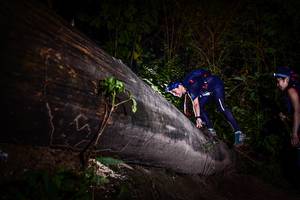 BIB: 
                            <button type="button" onclick="openModal(13518793)" class="btn btn-primary btn-sm float-right btn-popup" data-toggle="modal" data-target=".modal-high-quality">
                        <i class="fas fa-shopping-cart"></i> Add to Cart
                    </button>
                                            <button type="button" onclick="isThisMe(13518793, true)" class="btn btn-success btn-sm float-right btn-popup btn-isme hidden" data-toggle="tooltip" data-placement="bottom" title="นี่คือรูปของคุณใช่ไหม คลิกที่นี่เพื่อเอาเข้าอัลบั้ม">
                        <i class="fas fa-plus"></i> Add to album
                    </button>
                    <button type="button" onclick="isThisMe(13518793, false)" class="btn btn-warning btn-sm float-right btn-popup btn-isnotme hidden">
                        <i class="fas fa-ban"></i> Remove from album
                    </button>