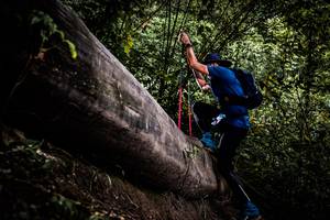 BIB: 
                            <button type="button" onclick="openModal(13525260)" class="btn btn-primary btn-sm float-right btn-popup" data-toggle="modal" data-target=".modal-high-quality">
                        <i class="fas fa-shopping-cart"></i> Add to Cart
                    </button>
                                            <button type="button" onclick="isThisMe(13525260, true)" class="btn btn-success btn-sm float-right btn-popup btn-isme hidden" data-toggle="tooltip" data-placement="bottom" title="นี่คือรูปของคุณใช่ไหม คลิกที่นี่เพื่อเอาเข้าอัลบั้ม">
                        <i class="fas fa-plus"></i> Add to album
                    </button>
                    <button type="button" onclick="isThisMe(13525260, false)" class="btn btn-warning btn-sm float-right btn-popup btn-isnotme hidden">
                        <i class="fas fa-ban"></i> Remove from album
                    </button>