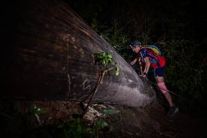 BIB: 
                            <button type="button" onclick="openModal(13517839)" class="btn btn-primary btn-sm float-right btn-popup" data-toggle="modal" data-target=".modal-high-quality">
                        <i class="fas fa-shopping-cart"></i> Add to Cart
                    </button>
                                            <button type="button" onclick="isThisMe(13517839, true)" class="btn btn-success btn-sm float-right btn-popup btn-isme hidden" data-toggle="tooltip" data-placement="bottom" title="นี่คือรูปของคุณใช่ไหม คลิกที่นี่เพื่อเอาเข้าอัลบั้ม">
                        <i class="fas fa-plus"></i> Add to album
                    </button>
                    <button type="button" onclick="isThisMe(13517839, false)" class="btn btn-warning btn-sm float-right btn-popup btn-isnotme hidden">
                        <i class="fas fa-ban"></i> Remove from album
                    </button>