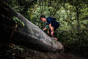 BIB: 
                            <button type="button" onclick="openModal(13523665)" class="btn btn-primary btn-sm float-right btn-popup" data-toggle="modal" data-target=".modal-high-quality">
                        <i class="fas fa-shopping-cart"></i> Add to Cart
                    </button>
                                            <button type="button" onclick="isThisMe(13523665, true)" class="btn btn-success btn-sm float-right btn-popup btn-isme hidden" data-toggle="tooltip" data-placement="bottom" title="นี่คือรูปของคุณใช่ไหม คลิกที่นี่เพื่อเอาเข้าอัลบั้ม">
                        <i class="fas fa-plus"></i> Add to album
                    </button>
                    <button type="button" onclick="isThisMe(13523665, false)" class="btn btn-warning btn-sm float-right btn-popup btn-isnotme hidden">
                        <i class="fas fa-ban"></i> Remove from album
                    </button>