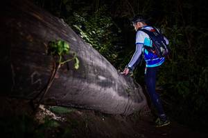 BIB: 
                            <button type="button" onclick="openModal(13518122)" class="btn btn-primary btn-sm float-right btn-popup" data-toggle="modal" data-target=".modal-high-quality">
                        <i class="fas fa-shopping-cart"></i> Add to Cart
                    </button>
                                            <button type="button" onclick="isThisMe(13518122, true)" class="btn btn-success btn-sm float-right btn-popup btn-isme hidden" data-toggle="tooltip" data-placement="bottom" title="นี่คือรูปของคุณใช่ไหม คลิกที่นี่เพื่อเอาเข้าอัลบั้ม">
                        <i class="fas fa-plus"></i> Add to album
                    </button>
                    <button type="button" onclick="isThisMe(13518122, false)" class="btn btn-warning btn-sm float-right btn-popup btn-isnotme hidden">
                        <i class="fas fa-ban"></i> Remove from album
                    </button>