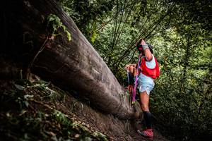 BIB: 
                            <button type="button" onclick="openModal(13524095)" class="btn btn-primary btn-sm float-right btn-popup" data-toggle="modal" data-target=".modal-high-quality">
                        <i class="fas fa-shopping-cart"></i> Add to Cart
                    </button>
                                            <button type="button" onclick="isThisMe(13524095, true)" class="btn btn-success btn-sm float-right btn-popup btn-isme hidden" data-toggle="tooltip" data-placement="bottom" title="นี่คือรูปของคุณใช่ไหม คลิกที่นี่เพื่อเอาเข้าอัลบั้ม">
                        <i class="fas fa-plus"></i> Add to album
                    </button>
                    <button type="button" onclick="isThisMe(13524095, false)" class="btn btn-warning btn-sm float-right btn-popup btn-isnotme hidden">
                        <i class="fas fa-ban"></i> Remove from album
                    </button>