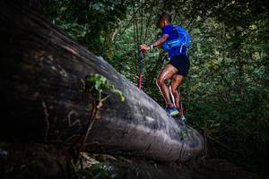 BIB: 
                            <button type="button" onclick="openModal(13519484)" class="btn btn-primary btn-sm float-right btn-popup" data-toggle="modal" data-target=".modal-high-quality">
                        <i class="fas fa-shopping-cart"></i> Add to Cart
                    </button>
                                            <button type="button" onclick="isThisMe(13519484, true)" class="btn btn-success btn-sm float-right btn-popup btn-isme hidden" data-toggle="tooltip" data-placement="bottom" title="นี่คือรูปของคุณใช่ไหม คลิกที่นี่เพื่อเอาเข้าอัลบั้ม">
                        <i class="fas fa-plus"></i> Add to album
                    </button>
                    <button type="button" onclick="isThisMe(13519484, false)" class="btn btn-warning btn-sm float-right btn-popup btn-isnotme hidden">
                        <i class="fas fa-ban"></i> Remove from album
                    </button>