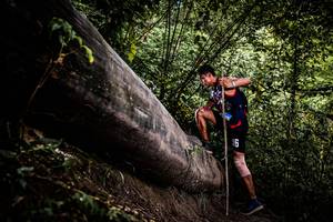 BIB: 
                            <button type="button" onclick="openModal(13525213)" class="btn btn-primary btn-sm float-right btn-popup" data-toggle="modal" data-target=".modal-high-quality">
                        <i class="fas fa-shopping-cart"></i> Add to Cart
                    </button>
                                            <button type="button" onclick="isThisMe(13525213, true)" class="btn btn-success btn-sm float-right btn-popup btn-isme hidden" data-toggle="tooltip" data-placement="bottom" title="นี่คือรูปของคุณใช่ไหม คลิกที่นี่เพื่อเอาเข้าอัลบั้ม">
                        <i class="fas fa-plus"></i> Add to album
                    </button>
                    <button type="button" onclick="isThisMe(13525213, false)" class="btn btn-warning btn-sm float-right btn-popup btn-isnotme hidden">
                        <i class="fas fa-ban"></i> Remove from album
                    </button>