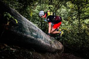 BIB: 
                            <button type="button" onclick="openModal(13525714)" class="btn btn-primary btn-sm float-right btn-popup" data-toggle="modal" data-target=".modal-high-quality">
                        <i class="fas fa-shopping-cart"></i> Add to Cart
                    </button>
                                            <button type="button" onclick="isThisMe(13525714, true)" class="btn btn-success btn-sm float-right btn-popup btn-isme hidden" data-toggle="tooltip" data-placement="bottom" title="นี่คือรูปของคุณใช่ไหม คลิกที่นี่เพื่อเอาเข้าอัลบั้ม">
                        <i class="fas fa-plus"></i> Add to album
                    </button>
                    <button type="button" onclick="isThisMe(13525714, false)" class="btn btn-warning btn-sm float-right btn-popup btn-isnotme hidden">
                        <i class="fas fa-ban"></i> Remove from album
                    </button>