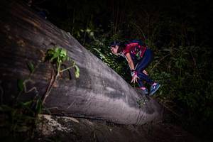 BIB: 
                            <button type="button" onclick="openModal(13517724)" class="btn btn-primary btn-sm float-right btn-popup" data-toggle="modal" data-target=".modal-high-quality">
                        <i class="fas fa-shopping-cart"></i> Add to Cart
                    </button>
                                            <button type="button" onclick="isThisMe(13517724, true)" class="btn btn-success btn-sm float-right btn-popup btn-isme hidden" data-toggle="tooltip" data-placement="bottom" title="นี่คือรูปของคุณใช่ไหม คลิกที่นี่เพื่อเอาเข้าอัลบั้ม">
                        <i class="fas fa-plus"></i> Add to album
                    </button>
                    <button type="button" onclick="isThisMe(13517724, false)" class="btn btn-warning btn-sm float-right btn-popup btn-isnotme hidden">
                        <i class="fas fa-ban"></i> Remove from album
                    </button>