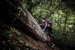 BIB: 
                            <button type="button" onclick="openModal(13524083)" class="btn btn-primary btn-sm float-right btn-popup" data-toggle="modal" data-target=".modal-high-quality">
                        <i class="fas fa-shopping-cart"></i> Add to Cart
                    </button>
                                            <button type="button" onclick="isThisMe(13524083, true)" class="btn btn-success btn-sm float-right btn-popup btn-isme hidden" data-toggle="tooltip" data-placement="bottom" title="นี่คือรูปของคุณใช่ไหม คลิกที่นี่เพื่อเอาเข้าอัลบั้ม">
                        <i class="fas fa-plus"></i> Add to album
                    </button>
                    <button type="button" onclick="isThisMe(13524083, false)" class="btn btn-warning btn-sm float-right btn-popup btn-isnotme hidden">
                        <i class="fas fa-ban"></i> Remove from album
                    </button>