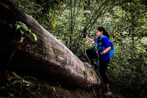 BIB: 
                            <button type="button" onclick="openModal(13525848)" class="btn btn-primary btn-sm float-right btn-popup" data-toggle="modal" data-target=".modal-high-quality">
                        <i class="fas fa-shopping-cart"></i> Add to Cart
                    </button>
                                            <button type="button" onclick="isThisMe(13525848, true)" class="btn btn-success btn-sm float-right btn-popup btn-isme hidden" data-toggle="tooltip" data-placement="bottom" title="นี่คือรูปของคุณใช่ไหม คลิกที่นี่เพื่อเอาเข้าอัลบั้ม">
                        <i class="fas fa-plus"></i> Add to album
                    </button>
                    <button type="button" onclick="isThisMe(13525848, false)" class="btn btn-warning btn-sm float-right btn-popup btn-isnotme hidden">
                        <i class="fas fa-ban"></i> Remove from album
                    </button>