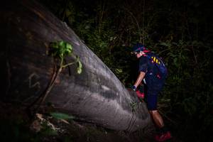 BIB: 
                            <button type="button" onclick="openModal(13518257)" class="btn btn-primary btn-sm float-right btn-popup" data-toggle="modal" data-target=".modal-high-quality">
                        <i class="fas fa-shopping-cart"></i> Add to Cart
                    </button>
                                            <button type="button" onclick="isThisMe(13518257, true)" class="btn btn-success btn-sm float-right btn-popup btn-isme hidden" data-toggle="tooltip" data-placement="bottom" title="นี่คือรูปของคุณใช่ไหม คลิกที่นี่เพื่อเอาเข้าอัลบั้ม">
                        <i class="fas fa-plus"></i> Add to album
                    </button>
                    <button type="button" onclick="isThisMe(13518257, false)" class="btn btn-warning btn-sm float-right btn-popup btn-isnotme hidden">
                        <i class="fas fa-ban"></i> Remove from album
                    </button>