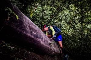 BIB: 
                            <button type="button" onclick="openModal(13525283)" class="btn btn-primary btn-sm float-right btn-popup" data-toggle="modal" data-target=".modal-high-quality">
                        <i class="fas fa-shopping-cart"></i> Add to Cart
                    </button>
                                            <button type="button" onclick="isThisMe(13525283, true)" class="btn btn-success btn-sm float-right btn-popup btn-isme hidden" data-toggle="tooltip" data-placement="bottom" title="นี่คือรูปของคุณใช่ไหม คลิกที่นี่เพื่อเอาเข้าอัลบั้ม">
                        <i class="fas fa-plus"></i> Add to album
                    </button>
                    <button type="button" onclick="isThisMe(13525283, false)" class="btn btn-warning btn-sm float-right btn-popup btn-isnotme hidden">
                        <i class="fas fa-ban"></i> Remove from album
                    </button>