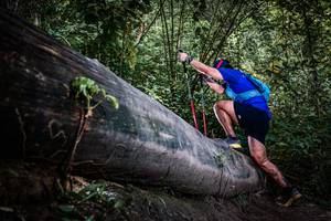 BIB: 
                            <button type="button" onclick="openModal(13520009)" class="btn btn-primary btn-sm float-right btn-popup" data-toggle="modal" data-target=".modal-high-quality">
                        <i class="fas fa-shopping-cart"></i> Add to Cart
                    </button>
                                            <button type="button" onclick="isThisMe(13520009, true)" class="btn btn-success btn-sm float-right btn-popup btn-isme hidden" data-toggle="tooltip" data-placement="bottom" title="นี่คือรูปของคุณใช่ไหม คลิกที่นี่เพื่อเอาเข้าอัลบั้ม">
                        <i class="fas fa-plus"></i> Add to album
                    </button>
                    <button type="button" onclick="isThisMe(13520009, false)" class="btn btn-warning btn-sm float-right btn-popup btn-isnotme hidden">
                        <i class="fas fa-ban"></i> Remove from album
                    </button>