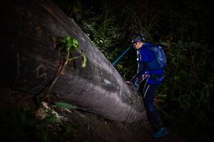 BIB: 
                            <button type="button" onclick="openModal(13518286)" class="btn btn-primary btn-sm float-right btn-popup" data-toggle="modal" data-target=".modal-high-quality">
                        <i class="fas fa-shopping-cart"></i> Add to Cart
                    </button>
                                            <button type="button" onclick="isThisMe(13518286, true)" class="btn btn-success btn-sm float-right btn-popup btn-isme hidden" data-toggle="tooltip" data-placement="bottom" title="นี่คือรูปของคุณใช่ไหม คลิกที่นี่เพื่อเอาเข้าอัลบั้ม">
                        <i class="fas fa-plus"></i> Add to album
                    </button>
                    <button type="button" onclick="isThisMe(13518286, false)" class="btn btn-warning btn-sm float-right btn-popup btn-isnotme hidden">
                        <i class="fas fa-ban"></i> Remove from album
                    </button>