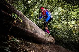 BIB: 
                            <button type="button" onclick="openModal(13525860)" class="btn btn-primary btn-sm float-right btn-popup" data-toggle="modal" data-target=".modal-high-quality">
                        <i class="fas fa-shopping-cart"></i> Add to Cart
                    </button>
                                            <button type="button" onclick="isThisMe(13525860, true)" class="btn btn-success btn-sm float-right btn-popup btn-isme hidden" data-toggle="tooltip" data-placement="bottom" title="นี่คือรูปของคุณใช่ไหม คลิกที่นี่เพื่อเอาเข้าอัลบั้ม">
                        <i class="fas fa-plus"></i> Add to album
                    </button>
                    <button type="button" onclick="isThisMe(13525860, false)" class="btn btn-warning btn-sm float-right btn-popup btn-isnotme hidden">
                        <i class="fas fa-ban"></i> Remove from album
                    </button>