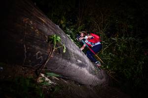 BIB: 
                            <button type="button" onclick="openModal(13518185)" class="btn btn-primary btn-sm float-right btn-popup" data-toggle="modal" data-target=".modal-high-quality">
                        <i class="fas fa-shopping-cart"></i> Add to Cart
                    </button>
                                            <button type="button" onclick="isThisMe(13518185, true)" class="btn btn-success btn-sm float-right btn-popup btn-isme hidden" data-toggle="tooltip" data-placement="bottom" title="นี่คือรูปของคุณใช่ไหม คลิกที่นี่เพื่อเอาเข้าอัลบั้ม">
                        <i class="fas fa-plus"></i> Add to album
                    </button>
                    <button type="button" onclick="isThisMe(13518185, false)" class="btn btn-warning btn-sm float-right btn-popup btn-isnotme hidden">
                        <i class="fas fa-ban"></i> Remove from album
                    </button>