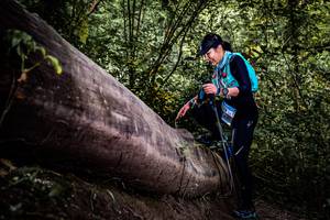 BIB: 
                            <button type="button" onclick="openModal(13523112)" class="btn btn-primary btn-sm float-right btn-popup" data-toggle="modal" data-target=".modal-high-quality">
                        <i class="fas fa-shopping-cart"></i> Add to Cart
                    </button>
                                            <button type="button" onclick="isThisMe(13523112, true)" class="btn btn-success btn-sm float-right btn-popup btn-isme hidden" data-toggle="tooltip" data-placement="bottom" title="นี่คือรูปของคุณใช่ไหม คลิกที่นี่เพื่อเอาเข้าอัลบั้ม">
                        <i class="fas fa-plus"></i> Add to album
                    </button>
                    <button type="button" onclick="isThisMe(13523112, false)" class="btn btn-warning btn-sm float-right btn-popup btn-isnotme hidden">
                        <i class="fas fa-ban"></i> Remove from album
                    </button>