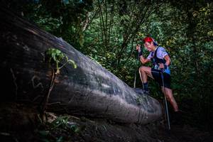 BIB: 
                            <button type="button" onclick="openModal(13519517)" class="btn btn-primary btn-sm float-right btn-popup" data-toggle="modal" data-target=".modal-high-quality">
                        <i class="fas fa-shopping-cart"></i> Add to Cart
                    </button>
                                            <button type="button" onclick="isThisMe(13519517, true)" class="btn btn-success btn-sm float-right btn-popup btn-isme hidden" data-toggle="tooltip" data-placement="bottom" title="นี่คือรูปของคุณใช่ไหม คลิกที่นี่เพื่อเอาเข้าอัลบั้ม">
                        <i class="fas fa-plus"></i> Add to album
                    </button>
                    <button type="button" onclick="isThisMe(13519517, false)" class="btn btn-warning btn-sm float-right btn-popup btn-isnotme hidden">
                        <i class="fas fa-ban"></i> Remove from album
                    </button>