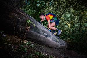 BIB: 
                            <button type="button" onclick="openModal(13519598)" class="btn btn-primary btn-sm float-right btn-popup" data-toggle="modal" data-target=".modal-high-quality">
                        <i class="fas fa-shopping-cart"></i> Add to Cart
                    </button>
                                            <button type="button" onclick="isThisMe(13519598, true)" class="btn btn-success btn-sm float-right btn-popup btn-isme hidden" data-toggle="tooltip" data-placement="bottom" title="นี่คือรูปของคุณใช่ไหม คลิกที่นี่เพื่อเอาเข้าอัลบั้ม">
                        <i class="fas fa-plus"></i> Add to album
                    </button>
                    <button type="button" onclick="isThisMe(13519598, false)" class="btn btn-warning btn-sm float-right btn-popup btn-isnotme hidden">
                        <i class="fas fa-ban"></i> Remove from album
                    </button>