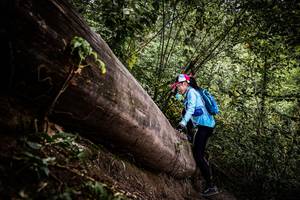 BIB: 
                            <button type="button" onclick="openModal(13523974)" class="btn btn-primary btn-sm float-right btn-popup" data-toggle="modal" data-target=".modal-high-quality">
                        <i class="fas fa-shopping-cart"></i> Add to Cart
                    </button>
                                            <button type="button" onclick="isThisMe(13523974, true)" class="btn btn-success btn-sm float-right btn-popup btn-isme hidden" data-toggle="tooltip" data-placement="bottom" title="นี่คือรูปของคุณใช่ไหม คลิกที่นี่เพื่อเอาเข้าอัลบั้ม">
                        <i class="fas fa-plus"></i> Add to album
                    </button>
                    <button type="button" onclick="isThisMe(13523974, false)" class="btn btn-warning btn-sm float-right btn-popup btn-isnotme hidden">
                        <i class="fas fa-ban"></i> Remove from album
                    </button>