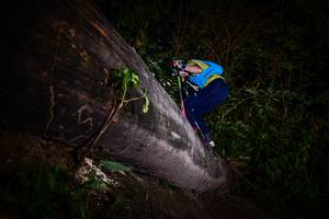 BIB: 
                            <button type="button" onclick="openModal(13518872)" class="btn btn-primary btn-sm float-right btn-popup" data-toggle="modal" data-target=".modal-high-quality">
                        <i class="fas fa-shopping-cart"></i> Add to Cart
                    </button>
                                            <button type="button" onclick="isThisMe(13518872, true)" class="btn btn-success btn-sm float-right btn-popup btn-isme hidden" data-toggle="tooltip" data-placement="bottom" title="นี่คือรูปของคุณใช่ไหม คลิกที่นี่เพื่อเอาเข้าอัลบั้ม">
                        <i class="fas fa-plus"></i> Add to album
                    </button>
                    <button type="button" onclick="isThisMe(13518872, false)" class="btn btn-warning btn-sm float-right btn-popup btn-isnotme hidden">
                        <i class="fas fa-ban"></i> Remove from album
                    </button>