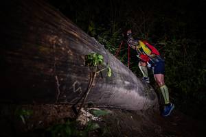 BIB: 
                            <button type="button" onclick="openModal(13517818)" class="btn btn-primary btn-sm float-right btn-popup" data-toggle="modal" data-target=".modal-high-quality">
                        <i class="fas fa-shopping-cart"></i> Add to Cart
                    </button>
                                            <button type="button" onclick="isThisMe(13517818, true)" class="btn btn-success btn-sm float-right btn-popup btn-isme hidden" data-toggle="tooltip" data-placement="bottom" title="นี่คือรูปของคุณใช่ไหม คลิกที่นี่เพื่อเอาเข้าอัลบั้ม">
                        <i class="fas fa-plus"></i> Add to album
                    </button>
                    <button type="button" onclick="isThisMe(13517818, false)" class="btn btn-warning btn-sm float-right btn-popup btn-isnotme hidden">
                        <i class="fas fa-ban"></i> Remove from album
                    </button>