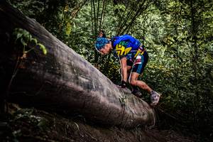 BIB: 
                            <button type="button" onclick="openModal(13523545)" class="btn btn-primary btn-sm float-right btn-popup" data-toggle="modal" data-target=".modal-high-quality">
                        <i class="fas fa-shopping-cart"></i> Add to Cart
                    </button>
                                            <button type="button" onclick="isThisMe(13523545, true)" class="btn btn-success btn-sm float-right btn-popup btn-isme hidden" data-toggle="tooltip" data-placement="bottom" title="นี่คือรูปของคุณใช่ไหม คลิกที่นี่เพื่อเอาเข้าอัลบั้ม">
                        <i class="fas fa-plus"></i> Add to album
                    </button>
                    <button type="button" onclick="isThisMe(13523545, false)" class="btn btn-warning btn-sm float-right btn-popup btn-isnotme hidden">
                        <i class="fas fa-ban"></i> Remove from album
                    </button>