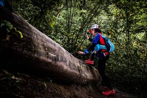 BIB: 
                            <button type="button" onclick="openModal(13525688)" class="btn btn-primary btn-sm float-right btn-popup" data-toggle="modal" data-target=".modal-high-quality">
                        <i class="fas fa-shopping-cart"></i> Add to Cart
                    </button>
                                            <button type="button" onclick="isThisMe(13525688, true)" class="btn btn-success btn-sm float-right btn-popup btn-isme hidden" data-toggle="tooltip" data-placement="bottom" title="นี่คือรูปของคุณใช่ไหม คลิกที่นี่เพื่อเอาเข้าอัลบั้ม">
                        <i class="fas fa-plus"></i> Add to album
                    </button>
                    <button type="button" onclick="isThisMe(13525688, false)" class="btn btn-warning btn-sm float-right btn-popup btn-isnotme hidden">
                        <i class="fas fa-ban"></i> Remove from album
                    </button>