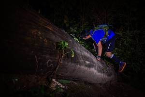 BIB: 
                            <button type="button" onclick="openModal(13517947)" class="btn btn-primary btn-sm float-right btn-popup" data-toggle="modal" data-target=".modal-high-quality">
                        <i class="fas fa-shopping-cart"></i> Add to Cart
                    </button>
                                            <button type="button" onclick="isThisMe(13517947, true)" class="btn btn-success btn-sm float-right btn-popup btn-isme hidden" data-toggle="tooltip" data-placement="bottom" title="นี่คือรูปของคุณใช่ไหม คลิกที่นี่เพื่อเอาเข้าอัลบั้ม">
                        <i class="fas fa-plus"></i> Add to album
                    </button>
                    <button type="button" onclick="isThisMe(13517947, false)" class="btn btn-warning btn-sm float-right btn-popup btn-isnotme hidden">
                        <i class="fas fa-ban"></i> Remove from album
                    </button>